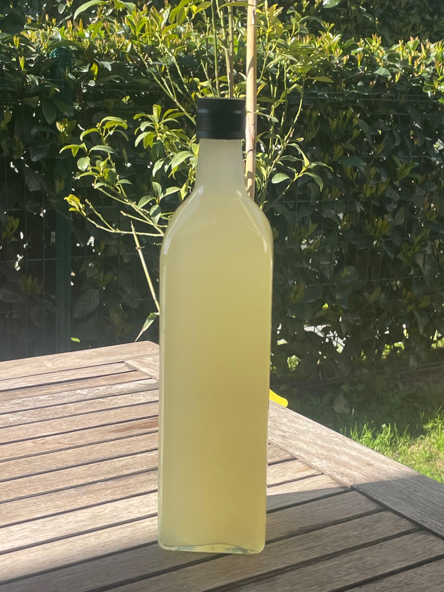 Limonata (1 lt)  Probiyotik - Rafine Şekersiz