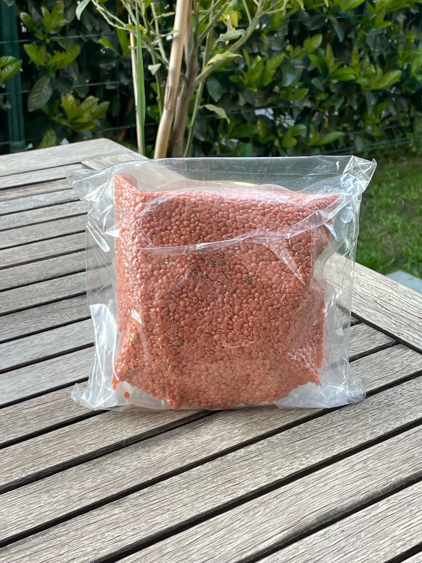 Kırmızı Mercimek 500 gr (Vakumlu)