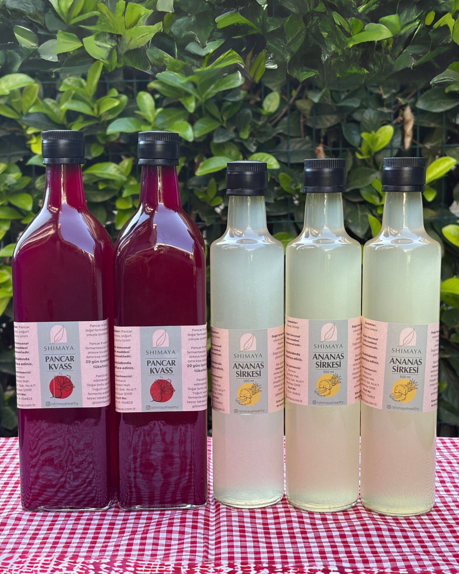 Çok Avantajlı Paket (2 adet 1 lt Pancar Kvass 3 adet 500 ml Ananas Sirkesi)