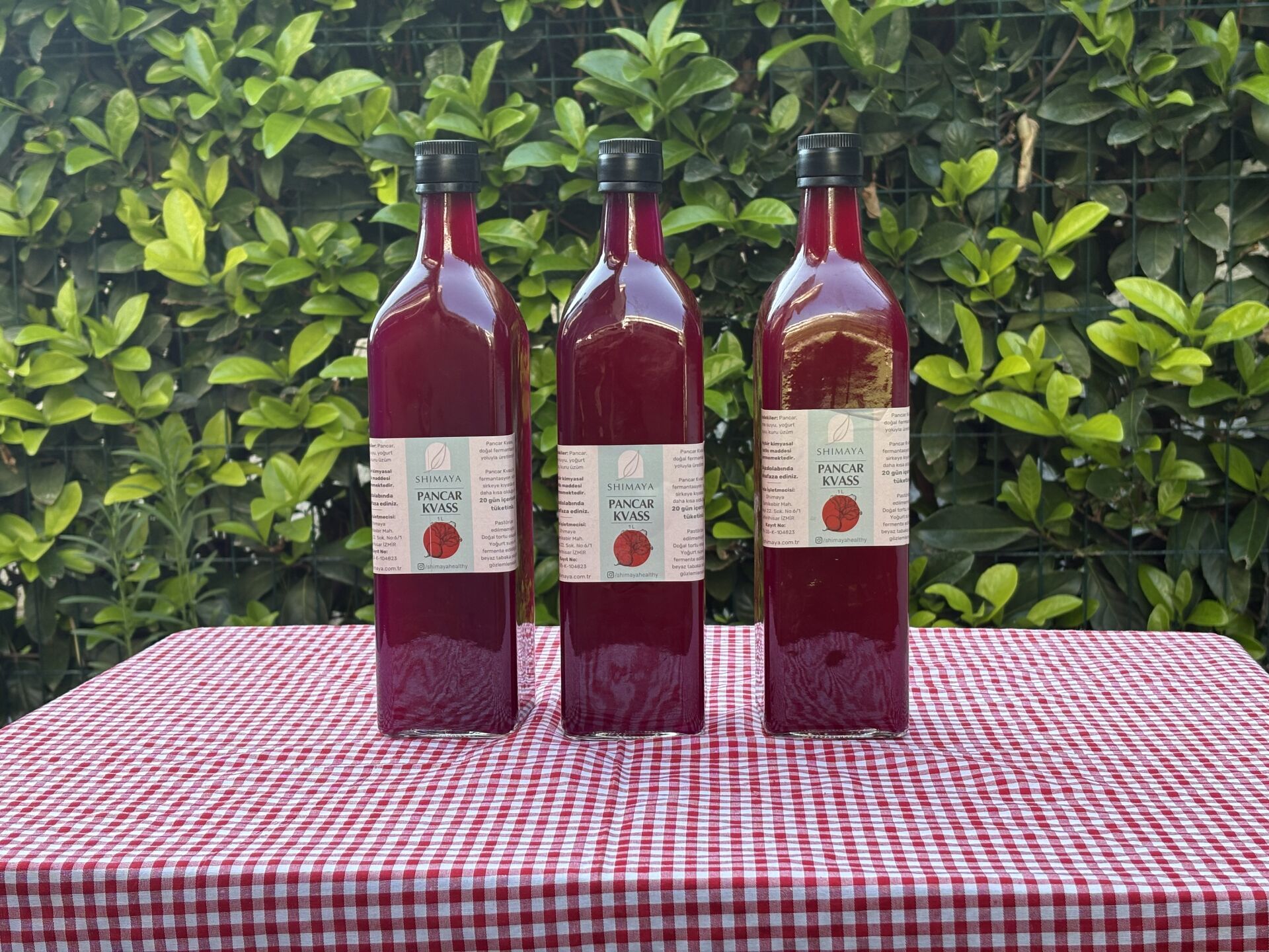 Zencefilli Pancar Kvass Seti (3x1 lt)